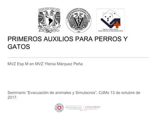 MVZ Esp M en MVZ Ylenia Márquez Peña
Seminario “Evacuación de animales y Simulacros”, CdMx 13 de octubre de
2017.
PRIMEROS AUXILIOS PARA PERROS Y
GATOS
 