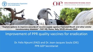 Improvement of PPR quality vaccines for eradication
Dr. Felix Njeumi (FAO) and Dr. Jean-Jacques Soula (OIE)
PPR GEP Secretariat
“Explore options to improve security of vaccine supply against Foot-and-Mouth and other similar
transboundary diseases”. FAO HQ, Rome, Italy, 22-23 January 2020
 