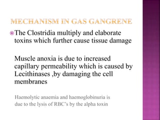 The Clostridia multiply and elaborate
toxins which further cause tissue damage
Muscle anoxia is due to increased
capillary permeability which is caused by
Lecithinases ,by damaging the cell
membranes
Haemolytic anaemia and haemoglobinuria is
due to the lysis of RBC’s by the alpha toxin
 