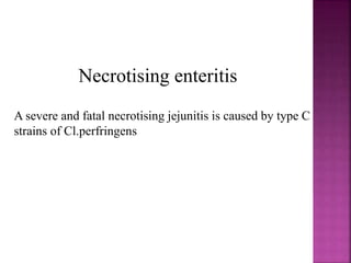 Necrotising enteritis
A severe and fatal necrotising jejunitis is caused by type C
strains of Cl.perfringens
 