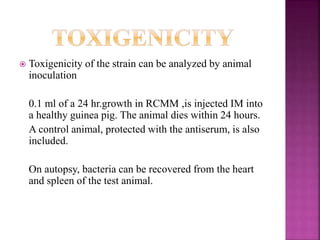  Toxigenicity of the strain can be analyzed by animal
inoculation
0.1 ml of a 24 hr.growth in RCMM ,is injected IM into
a healthy guinea pig. The animal dies within 24 hours.
A control animal, protected with the antiserum, is also
included.
On autopsy, bacteria can be recovered from the heart
and spleen of the test animal.
 