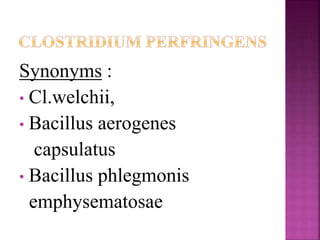 Synonyms :
• Cl.welchii,
• Bacillus aerogenes
capsulatus
• Bacillus phlegmonis
emphysematosae
 
