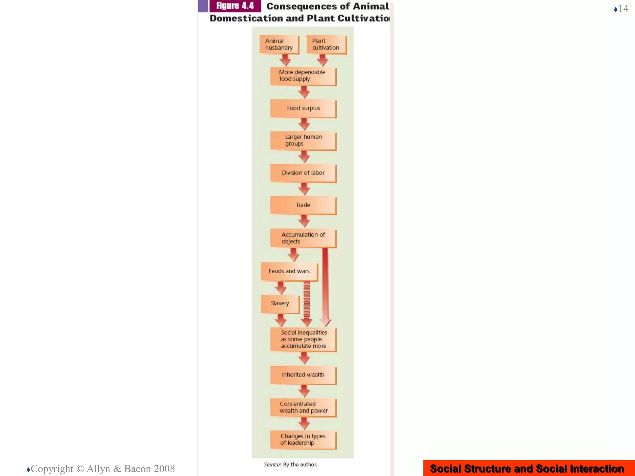 Social Structure and Social InteractionCopyright © Allyn & Bacon 2008
14
 
