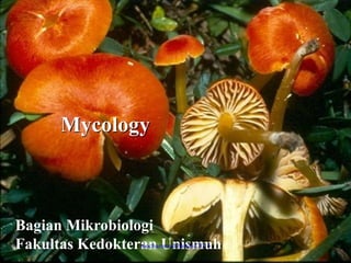 Mycology
Bagian Mikrobiologi
Fakultas Kedokteran Unismuhmochammad hatta@2015
 