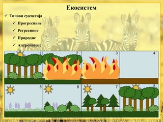 Екосистем
 Типови сукцесија
 Прогресивне
 Регресивне
 Природне
 Антропогене
 