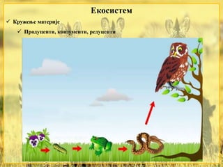 Екосистем
 Кружење материје
 Продуценти, конзументи, редуценти
 