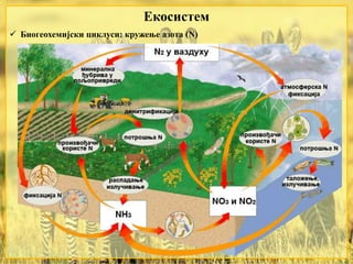 Екосистем
 Биогеохемијски циклуси: кружење азота (N)
 