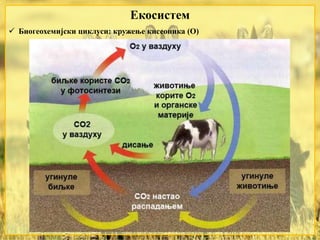 Екосистем
 Биогеохемијски циклуси: кружење кисеоника (О)
 