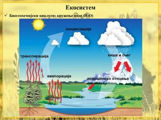 Екосистем
 Биогеохемијски циклуси: кружење воде (Н2О)
 
