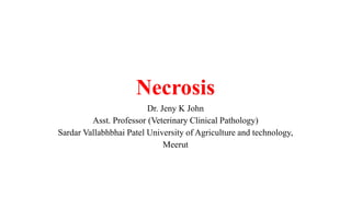 Necrosis
Dr. Jeny K John
Asst. Professor (Veterinary Clinical Pathology)
Sardar Vallabhbhai Patel University of Agriculture and technology,
Meerut
 