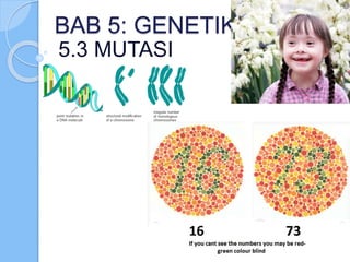 BAB 5: GENETIK
5.3 MUTASI
 