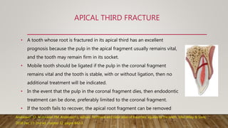 APICAL THIRD FRACTURE
• A tooth whose root is fractured in its apical third has an excellent
prognosis because the pulp in the apical fragment usually remains vital,
and the tooth may remain firm in its socket.
• Mobile tooth should be ligated if the pulp in the coronal fragment
remains vital and the tooth is stable, with or without ligation, then no
additional treatment will be indicated.
• In the event that the pulp in the coronal fragment dies, then endodontic
treatment can be done, preferably limited to the coronal fragment.
• If the tooth fails to recover, the apical root fragment can be removed
surgically.Andreasen JO, Andreasen FM, Andersson L, editors. Textbook and color atlas of traumatic injuries to the teeth. John Wiley & Sons;
2018 Dec 17; 2nd ed, chapter 32 ,pages 842-3.
 