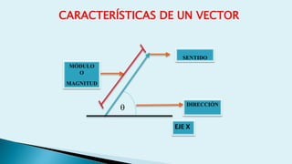 CARACTERÍSTICAS DE UN VECTOR
EJE X
SENTIDO
MÓDULO
O
MAGNITUD
DIRECCIÓN

 