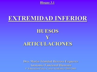 EXTREMIDAD INFERIOR
HUESOS
Y
ARTICULACIONES
Bloque 3.1
Dra. María-Trinidad Herrero Ezquerro
Anatomía Funcional Humana
1º Educación Física. Curso Académico 2003-2003
 