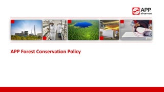 APP Forest Conservation Policy
 