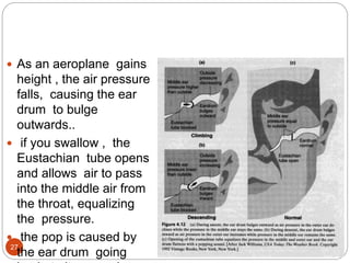 6/19/202027
 As an aeroplane gains
height , the air pressure
falls, causing the ear
drum to bulge
outwards..
 if you swallow , the
Eustachian tube opens
and allows air to pass
into the middle air from
the throat, equalizing
the pressure.
 the pop is caused by
the ear drum going
 