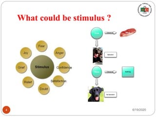 What could be stimulus ?
6/19/20204
 