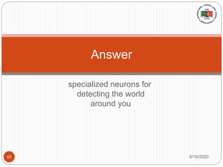 specialized neurons for
detecting the world
around you
Answer
6/19/202045
 