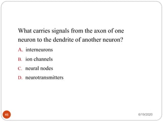 What carries signals from the axon of one
neuron to the dendrite of another neuron?
A. interneurons
B. ion channels
C. neural nodes
D. neurotransmitters
6/19/202046
 