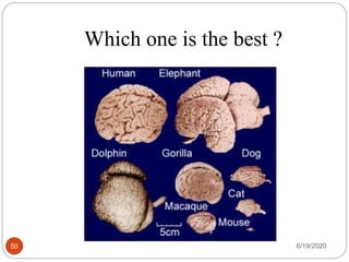 Which one is the best ?
6/19/202050
 