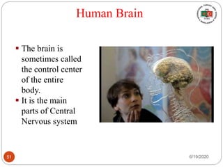 Human Brain
 The brain is
sometimes called
the control center
of the entire
body.
 It is the main
parts of Central
Nervous system
6/19/202051
 