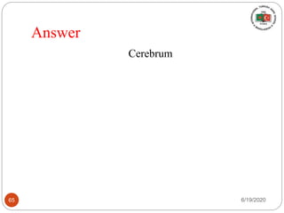 Answer
Cerebrum
6/19/202065
 