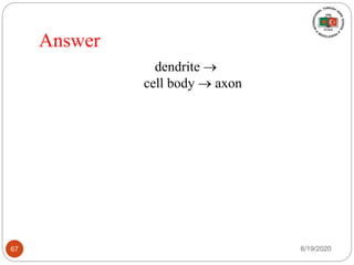 Answer
dendrite 
cell body  axon
6/19/202067
 