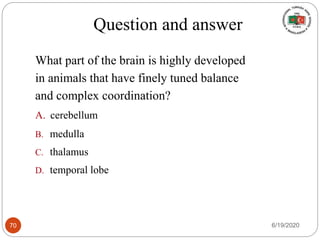 Question and answer
What part of the brain is highly developed
in animals that have finely tuned balance
and complex coordination?
A. cerebellum
B. medulla
C. thalamus
D. temporal lobe
6/19/202070
 