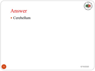Answer
 Cerebellum
6/19/202071
 