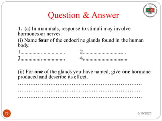 Question & Answer
1. (a) In mammals, response to stimuli may involve
hormones or nerves.
(i) Name four of the endocrine glands found in the human
body.
1................................. 2................................
3................................. 4.................................
(ii) For one of the glands you have named, give one hormone
produced and describe its effect.
……………………………………………………………
……………………………………………………………
……………………………………………………………
6/19/202072
 