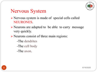 Nervous System
 Nervous system is made of special cells called
NEURONES.
 Neurons are adapted to be able to carry message
very quickly.
 Neurons consist of three main regions:
-The dendrites
-The cell body
-The axon.
6/19/20208
 