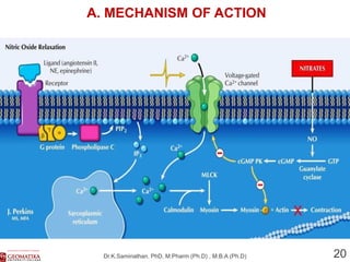 Ischemia visual data 7