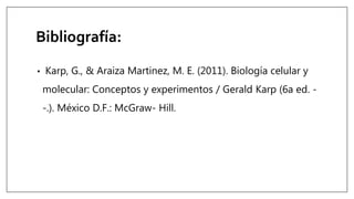 Bibliografía:
• Karp, G., & Araiza Martinez, M. E. (2011). Biología celular y
molecular: Conceptos y experimentos / Gerald Karp (6a ed. -
-.). México D.F.: McGraw- Hill.
 
