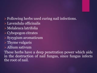 Herbal_Cosmetics