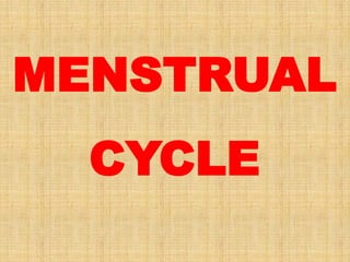 MENSTRUAL
CYCLE
 