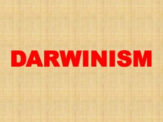 DARWINISM
 
