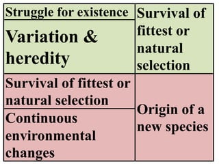 Struggle for existence Survival of
fittest or
natural
selection
Variation &
heredity
Survival of fittest or
natural selection
Origin of a
new species
Continuous
environmental
changes
 
