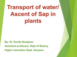 Transport of water/
Ascent of Sap in
plants
By: Dr. Sunita Sangwan
Assistant professor, Dept of Botany
Higher education Dept. Haryana
 