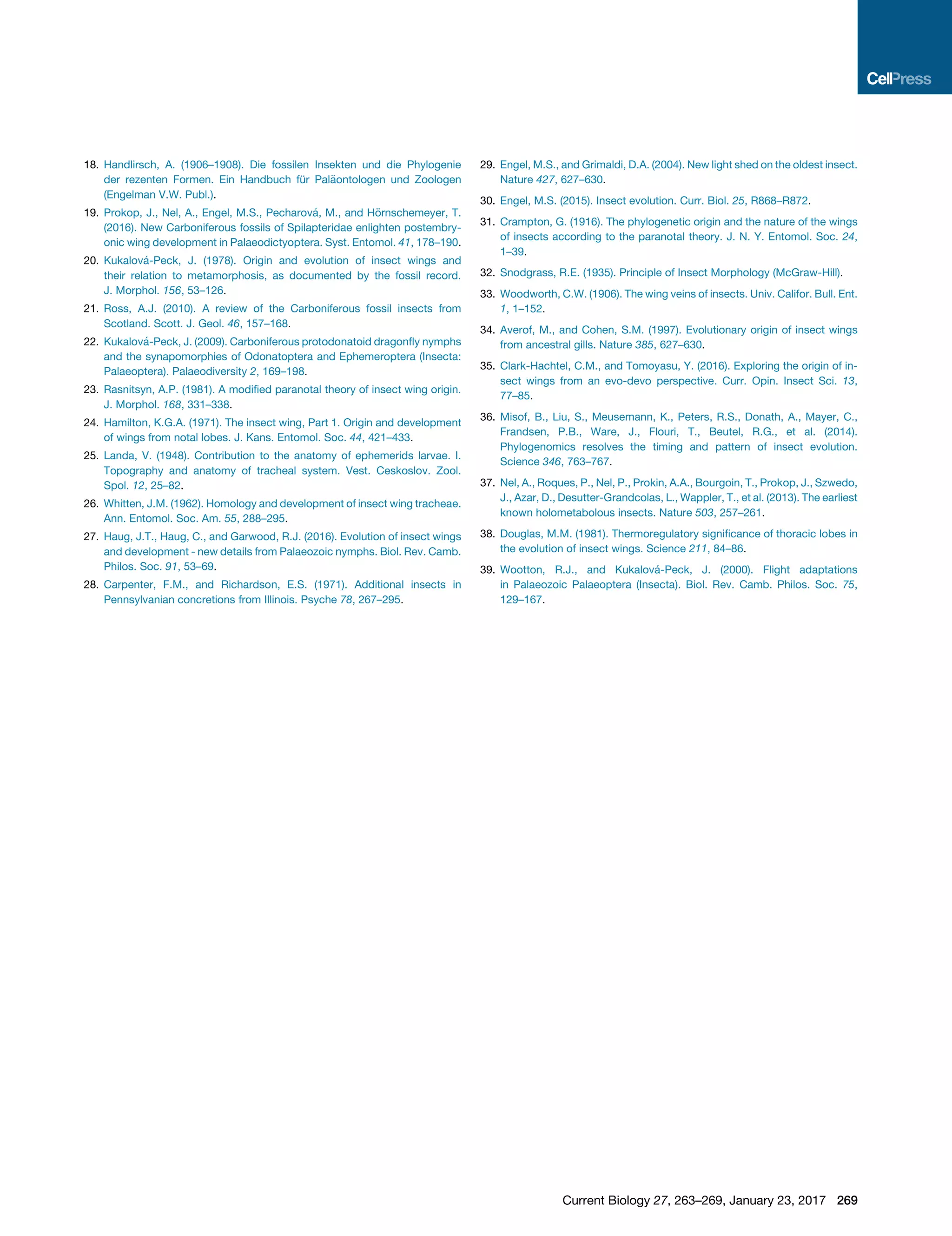 5. paleozoic nymphal wing (1) | PDF