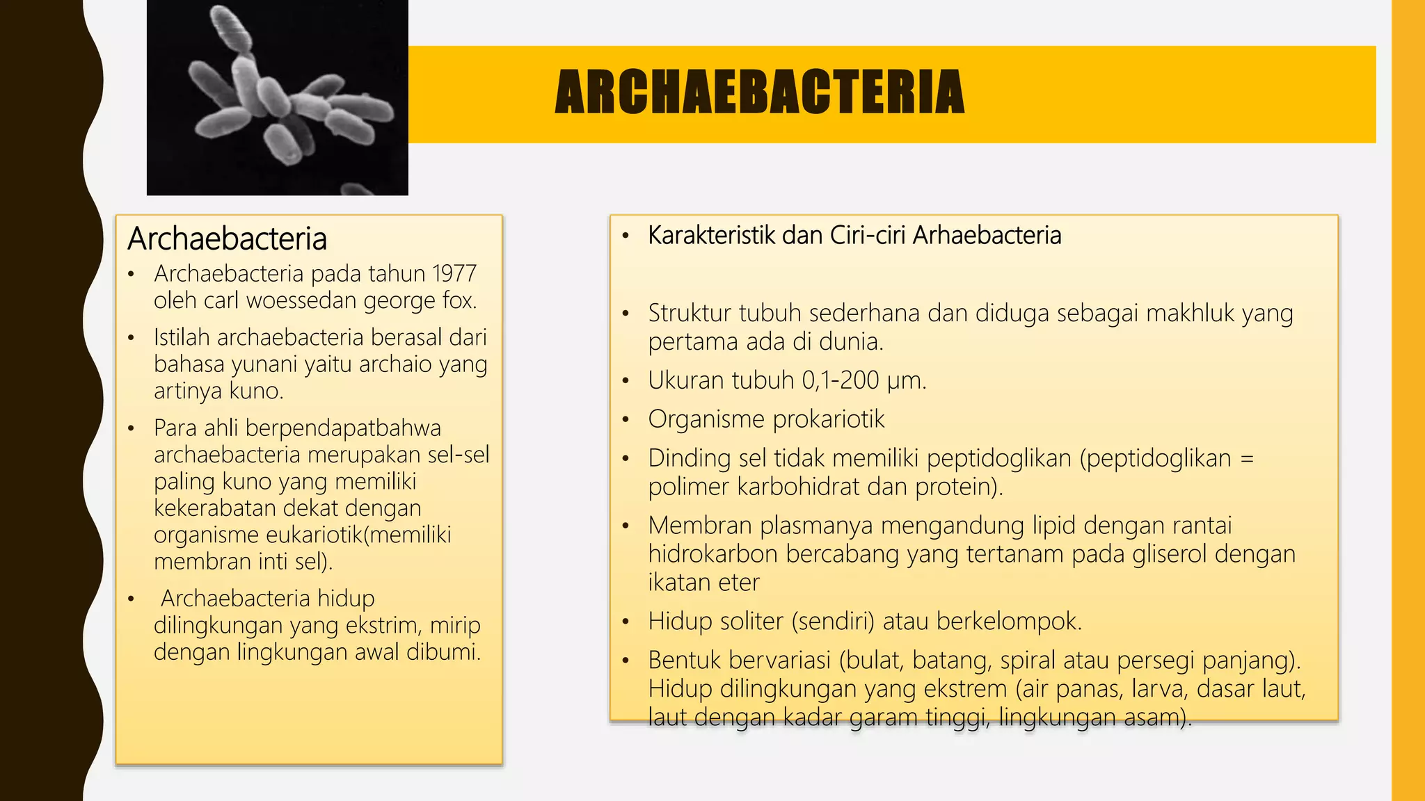 kingdom monera (bakteri & cyanobacteria) | PPTX