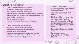 3) Oomycota (Jamur Air)
• Sturkturnya mirip alga, namun
tidak berklorofil.
• Hifa tidak bersekat, berinti
banyak.
• Dinding sel berupa selulosa.
• Reproduksi aseksual dan
seksual. Reproduksi aseksual
dengan zoospora, reproduksi
seksual dengan menghasilkan
zigot.
• Beberapa hidup parasit pada
ikan.
• Contoh oomycota:
phytophythora infestan,
phytium.
 Protista mirip jamur
1) Jamur Lendir Plasmodial (Myxomycota)
• Habitatnya di lingkungan yang lembap.
• Fase vegetatif berbentuk seperti lendir.
• Bersifat seperti Amoeba atau disebut dengan amoeboid.
• Berinti banyak dan tidak dibatasi oleh dinding yang kuat
atau disebut Plasmodium.
• Bereproduksi seperti jamur.
• Contoh myomycota: Dictiostelium discoideum.
2) Jamur Lendir Seluler (Acrasiomycota)
• Habitatnya di lingkungan yang lembap.
• Bentuk tubuh seperti lendir (plasmodium).
• Hifa bersekat, berinti banyak.
• Reproduksi seksual dengan singami dan aseksual
dengan membentuk tubuh buah atau fruiting body.
• Contoh acrasiomycota: Dyctyostelium.
 