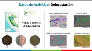 PERÚ LIMPIO
Datos de Actividad: Deforestación
2001 2008 2013
≈38.335 parcelas
958.375 puntos
Landsat 8 RGB 652
Tierras agr...
