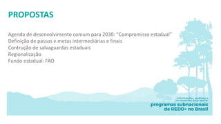 Terá o Pará êxito na sua estratégia de redução de emissões associadas ao uso da terra? 