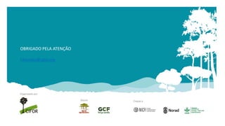 Terá o Pará êxito na sua estratégia de redução de emissões associadas ao uso da terra? 