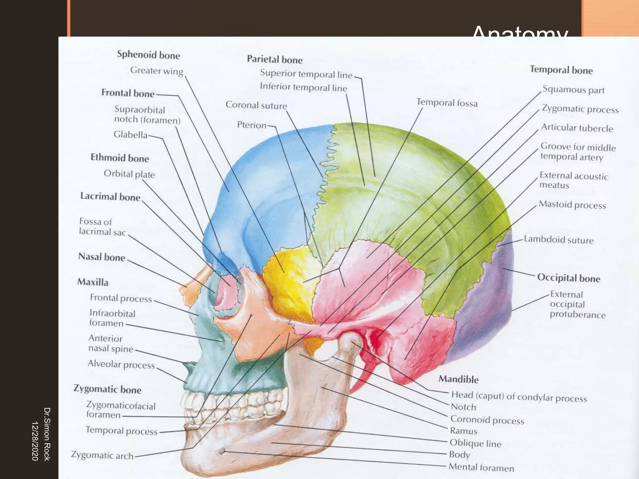 5. zygomatic fracture