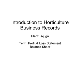 Introduction to Horticulture Business Records Plant:  Ajuga Term: Profit & Loss Statement Balance Sheet 