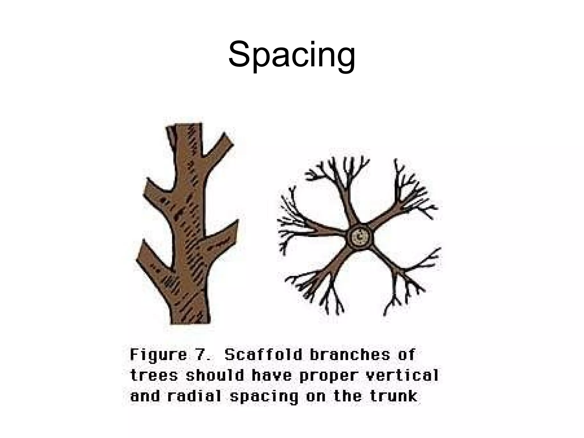 Spacing 