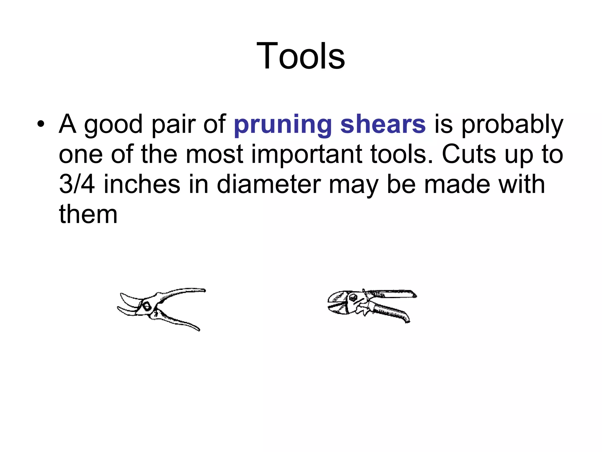 Tools A good pair of  pruning shears  is probably one of the most important tools. Cuts up to 3/4 inches in diameter may be made with them  
