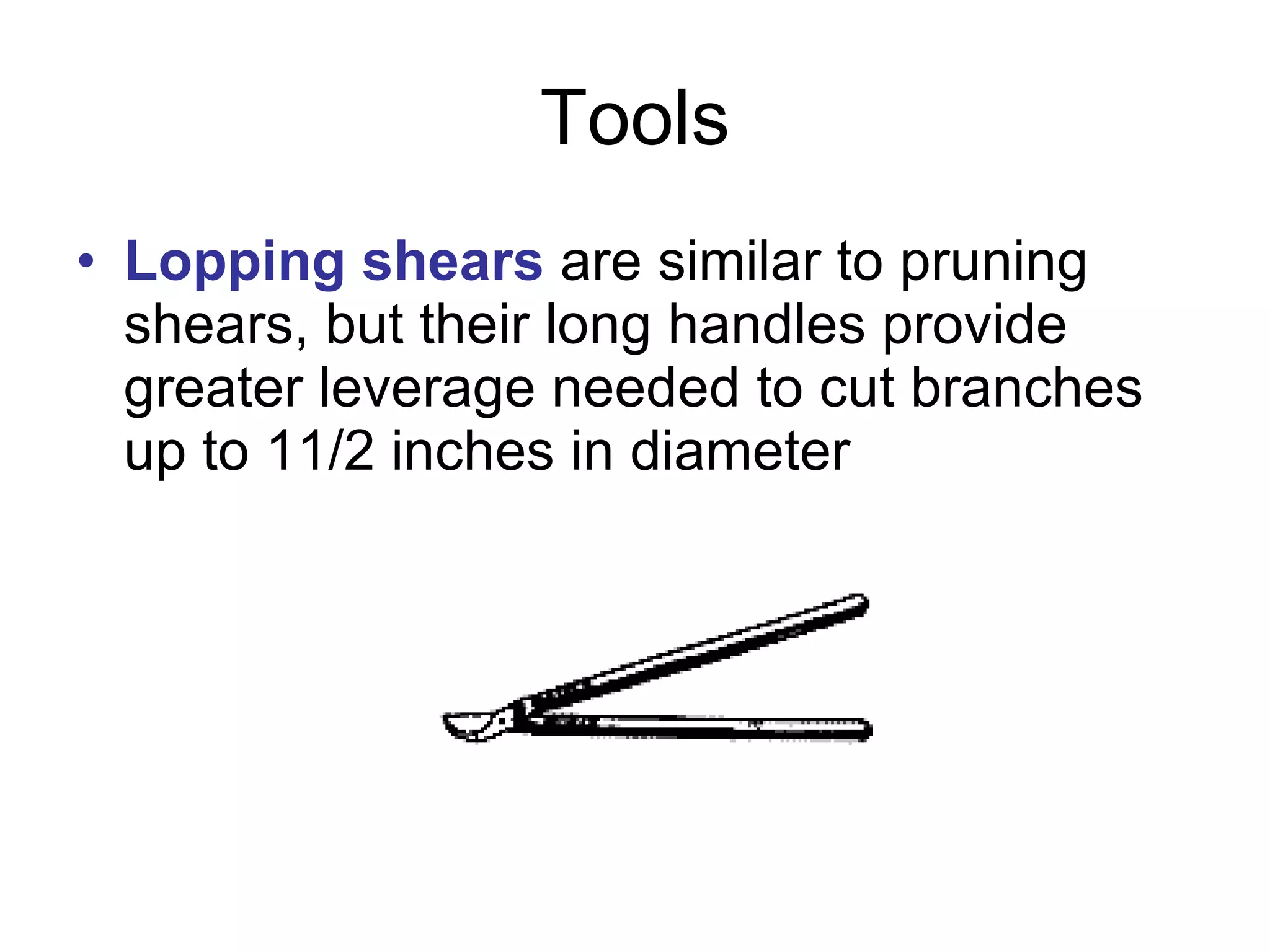 Tools Lopping shears  are similar to pruning shears, but their long handles provide greater leverage needed to cut branches up to 11/2 inches in diameter  