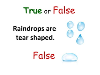True or False
Raindrops are
tear shaped.
False
 